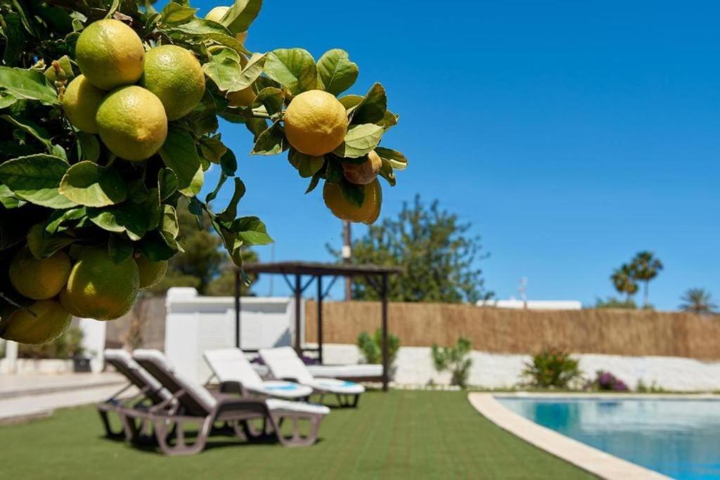 The Lovely Villa Ibiza Cidade de Ibiza Exterior foto